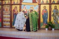 Ordination2019-2371